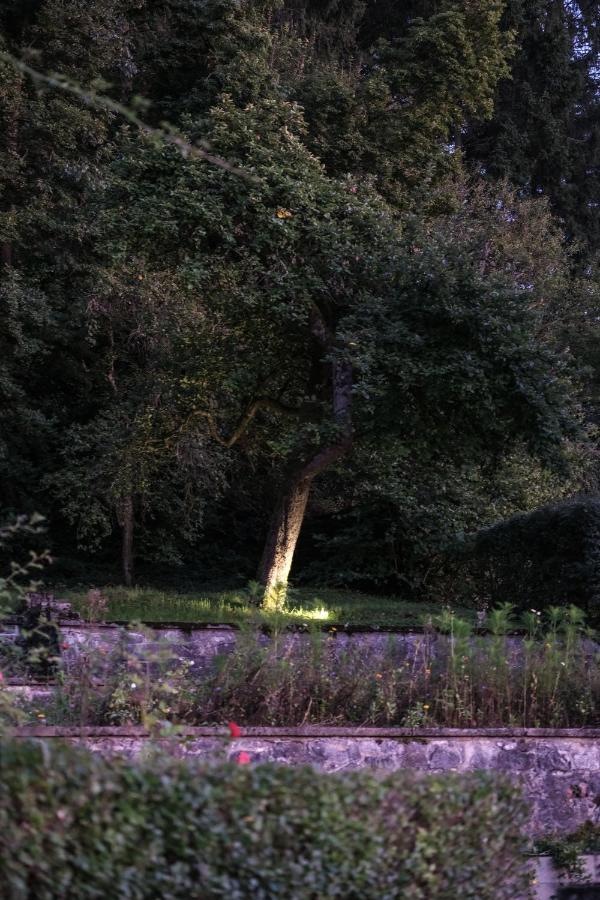 Les Terrasses Des Falizes B&B Rochefort Bagian luar foto